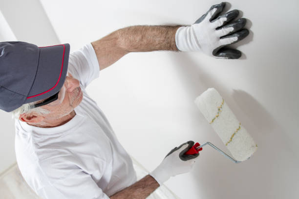 Best Fire-Damaged Drywall Repair  in Pittsville, MD