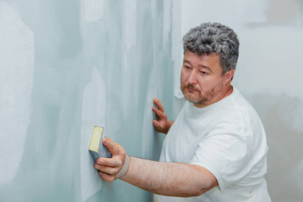 Best Drywall Crack Repair  in Pittsville, MD